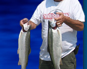 Windsor Ontario Muskie Fishing, Walleye Fishing Rainbow Trout Fishing