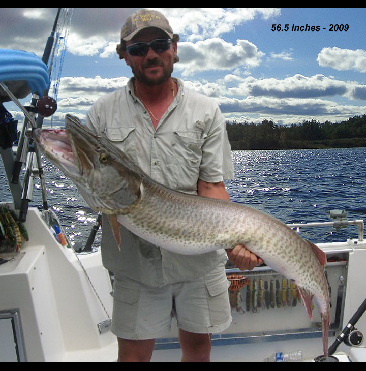 How to Calculate Muskie Weight